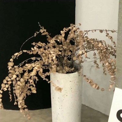 兽设比例设计基础教程FurryQQ群